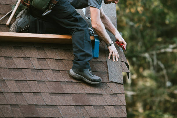 Best Roof Gutter Cleaning  in Sulphur, OK